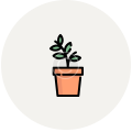 icon2 icon2
